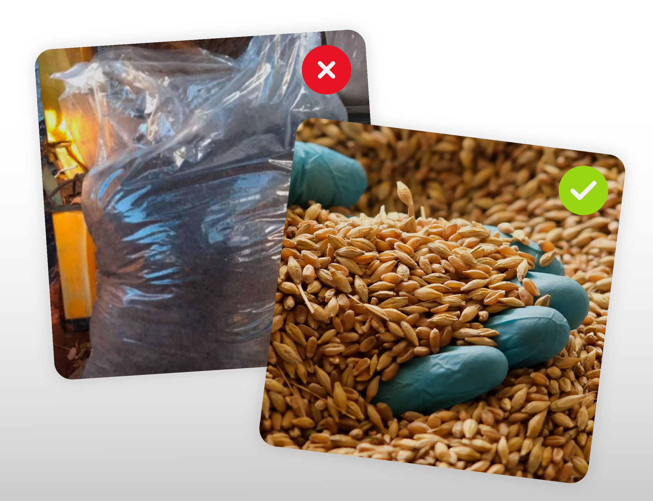 Errores comunes - 02 (2)