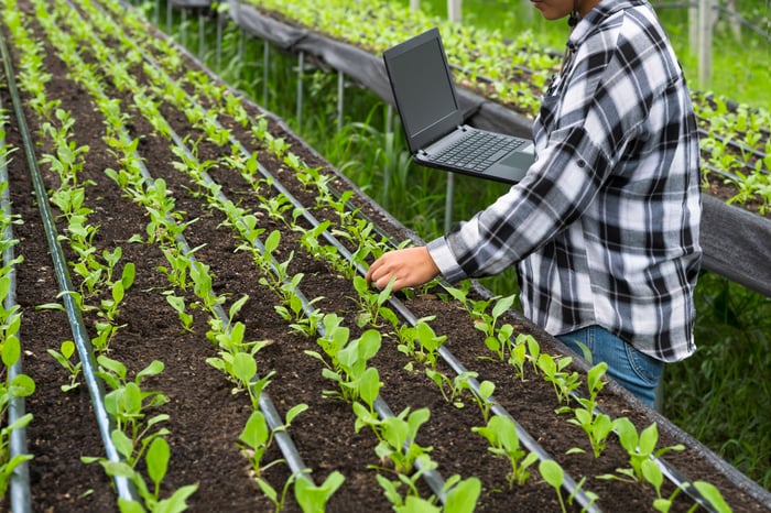 female-agriculturist-using-laptop-to-recording-gro-2025-03-11-16-44-16-utc
